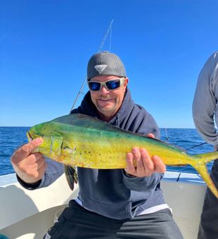 Deep sea fishing in Lewes—powerful runs and lasting memories.