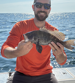 Nice sea bass on the boat today! Clear conditions made for exciting fishing off Lewes.