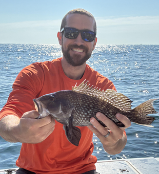 Nice sea bass on a perfect day for fishing!