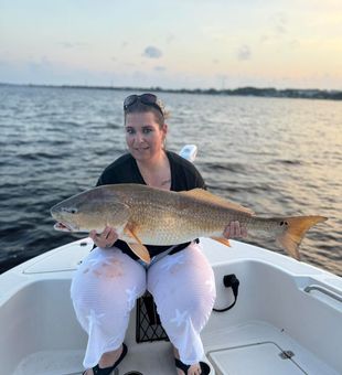 Carolina coast delivers again!