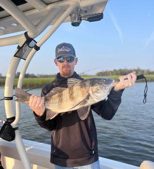 Black Drum Reeled! - Charleston, NC.