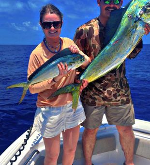 Vibrant mahi mahi fishing catch