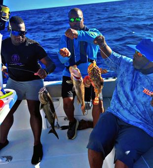 Lively deep sea fishing catch