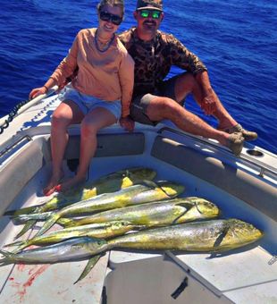 Bold mahi mahi fishing haul
