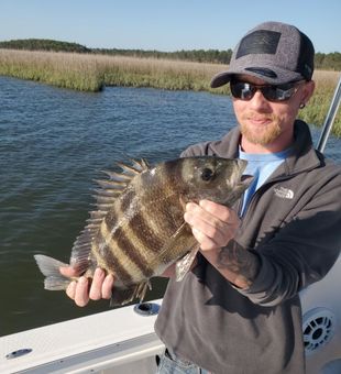 Sheepshead Catch! - Charleston, NC.