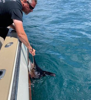 Reel in Success with Connecticut Charters