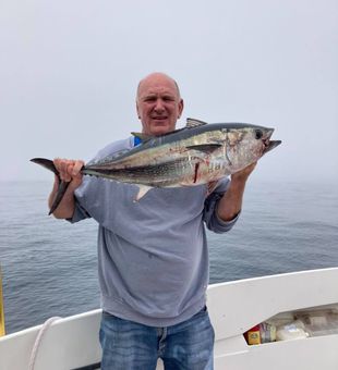 Mastering Albacore Fishing Techniques