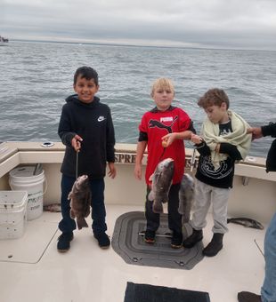 Connecticut's Finest Tautog Fishing Charters
