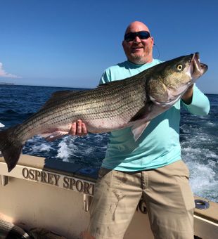 Frenzy Begins: CT Striper Fishing