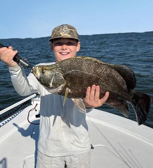 Tripletail: Kings of the Shadows!