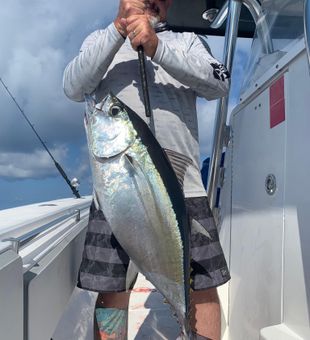 Every cast brings a new thrill!