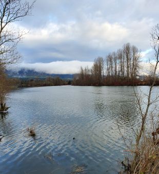 A perfect day for Salmon fishing on the Columbia.