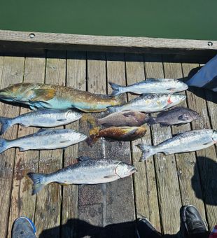 Columbia River is home to the best fishing in OR