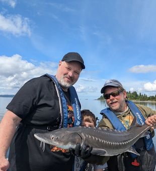 Massive white sturgeon landed in Astoria waters!