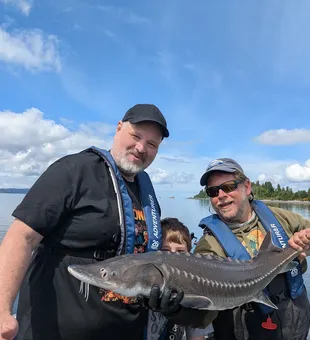 White sturgeon success in Astoria Oregon!