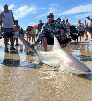 Crowd gathers around impressive shark catch.