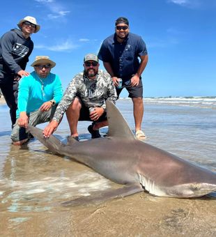 Impressive shark catch with friends.