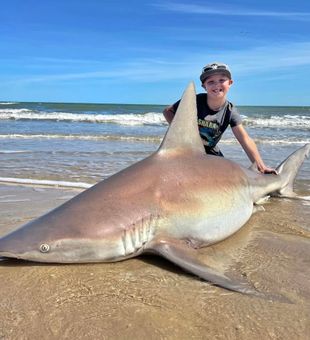 Young angler with a massive shark catch.