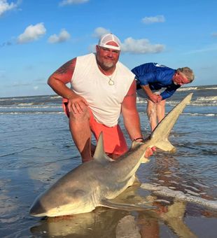 Massive shark catch with a proud angler.