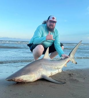 Galveston, TX, offers outstanding shark fishing opportunities for anglers of all experience levels.