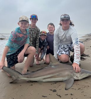 Blacktip shark success on Bolivar Peninsula TX!