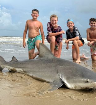 Powerful Bull Shark Catch on the Beach