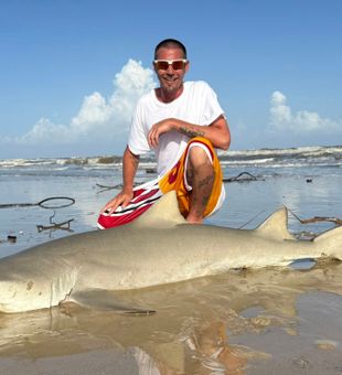 Impressive bull shark catch – exciting shark fishing success on the beach!
