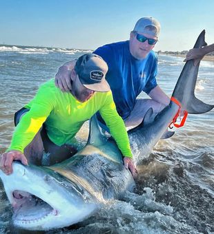 Battle with Galveston's Ocean Titans