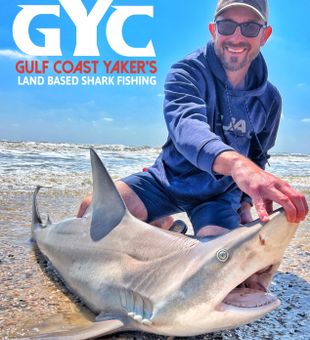 Galveston's Great Sharks: Epic Fishing!