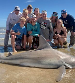 Massive sandbar shark landed on Bolivar Peninsula!