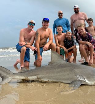 Epic bull shark catch with friends – powerful, exciting shark fishing on the beach!