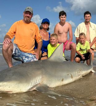 Giant bull shark action on the beach – exciting catch with family fishing fun!