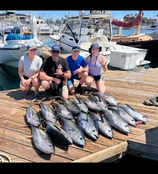 Tuna dance in the Pacific!