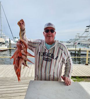 Smiles, sunshine, and a great string of snapper!
