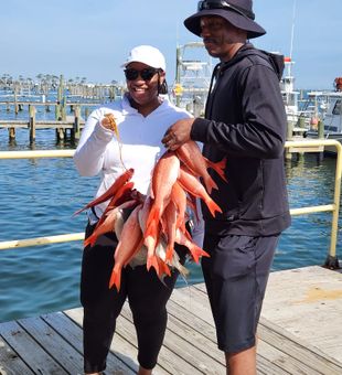 Sun, sea, and a fantastic snapper haul!