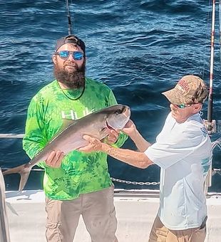 Trade the shoreline for open water and target hard-fighting red snapper in the productive offshore grounds of Pensacola, FL.