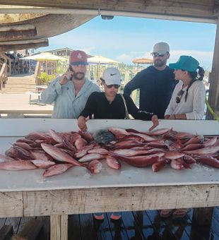 Successful red snapper fishing trip in Pensacola waters!