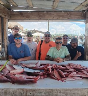 From red snapper to prized Gulf species, Pensacola offshore fishing puts anglers on the water for an unforgettable day of saltwater action.