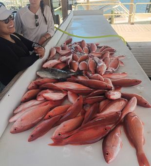 Red snapper fishing success in Pensacola waters!