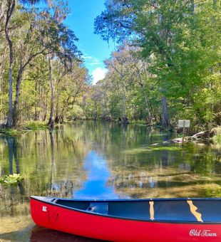 There’s so much natural beauty to explore in FL!