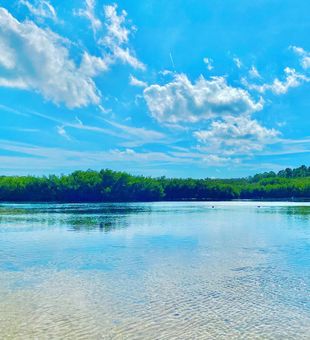 The quiet beauty of inshore fishing. 