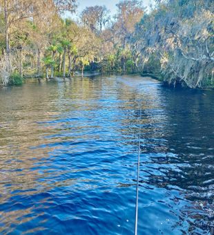 Nature views with Tampa fishing guides
