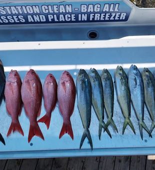 Haul not that big, but still a work of art - Shalimar, FL.