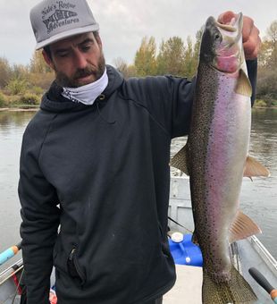 Steelhead on the Iconic Rogue