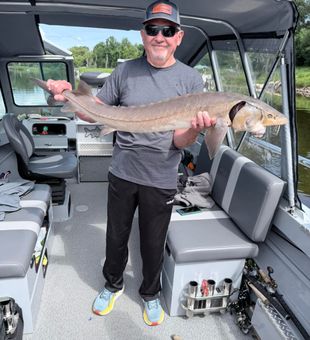 Beautiful lake sturgeon from Stillwater Minnesota waters!