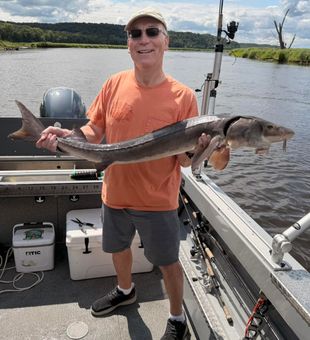 Beautiful Lake Sturgeon caught in Stillwater MN!