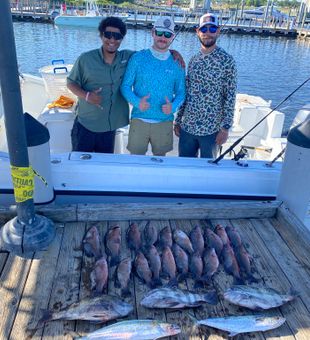 Gulf Bounty Off Pensacola Beach