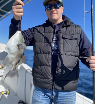 Grey Triggerfish from Pensacola Bay makes the day!