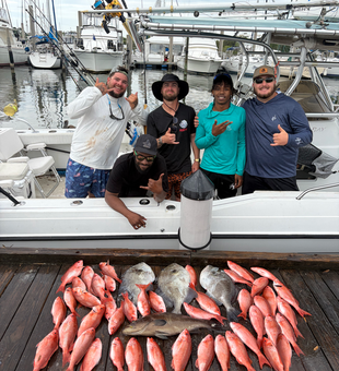 Impressive mixed bag of red and gray fish!