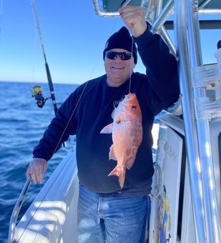 Snapper Season Is On in Florida